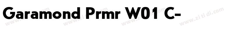 Garamond Prmr W01 C字体转换